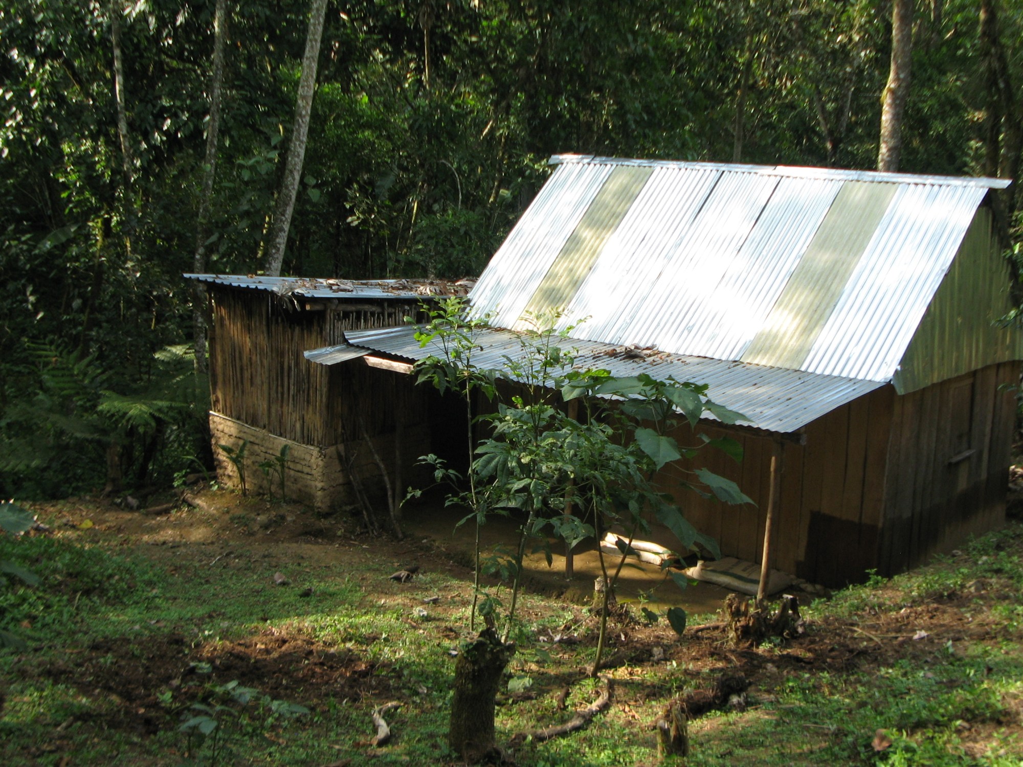 ranchito en el bosque, mexico