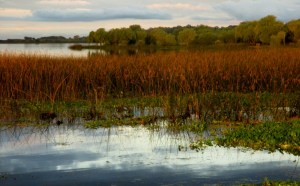 villa soriano uruguay atardecer en el rio