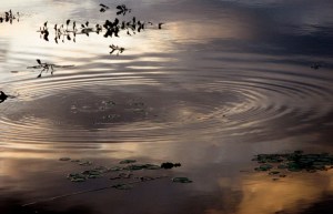 villa soriano uruguay, atardecer en el rio