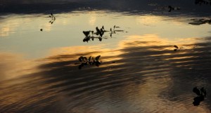 vill soriano uruguay, atardecer en el rio