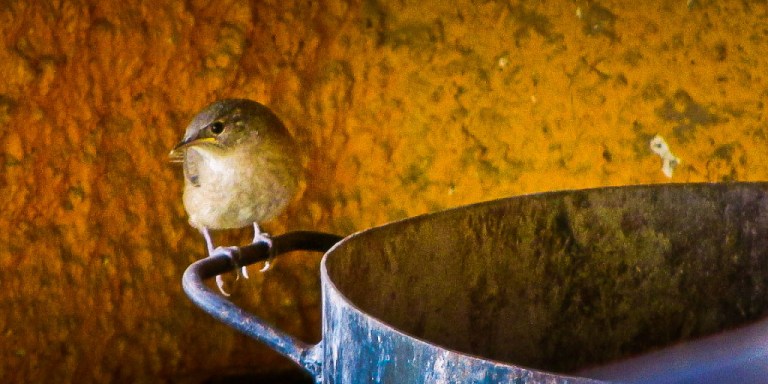 VILLA SORIANO, URUGUAY
