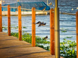 VILLA SORIANO, URUGUAY