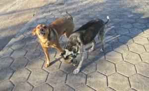 VILLA SORIANO, URUGUAY
