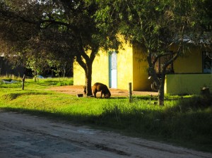 VILLA SORIANO, URUGUAY