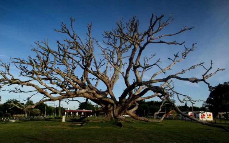 VILLA SORIANO, URUGUAY