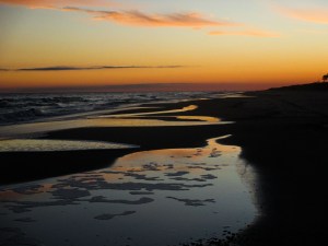 FOTOS PINTURA EN LA ARENA EN EL ATARDECER