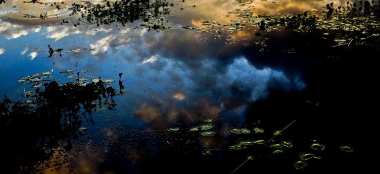 Uruguay, río de los pájaros