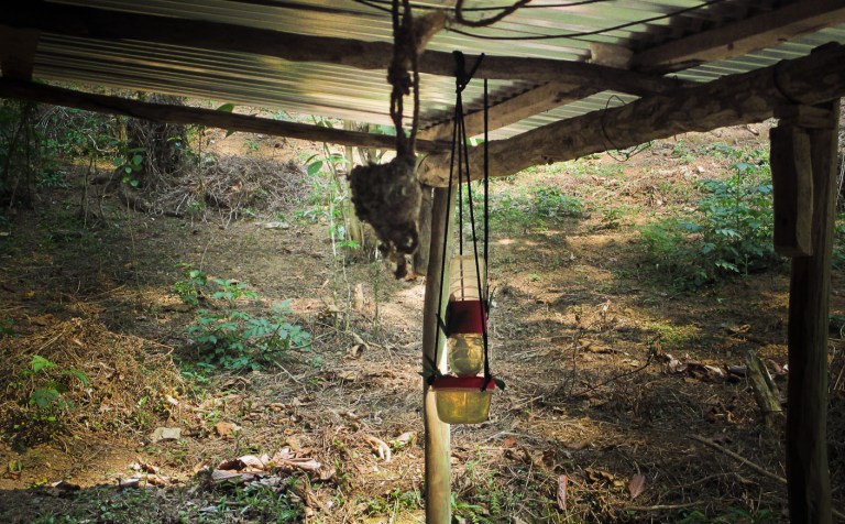 NIDO DE COLIBRI Y BEBEDERO