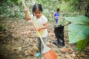 niños recolectando ramitas