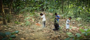 niños recolectando ramitas