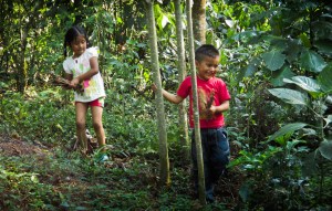 niños recolectando ramitas
