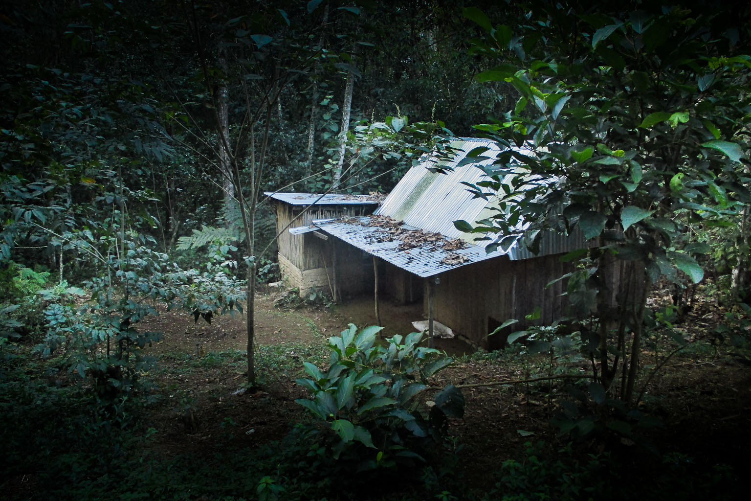 RANCHITO EN OAXACA, MEXICO