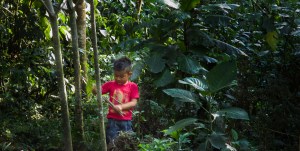 NIÑA RECOLECTANDO RAMAS