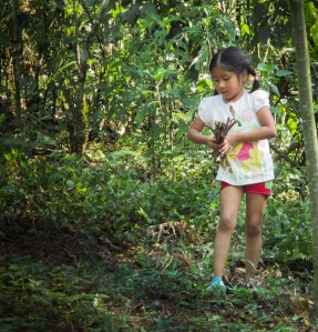 NIÑA RECOLECTANDO RAMAS