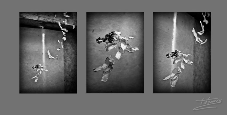 ago-2016-triptico-papelitos-