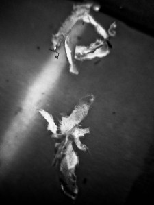 movil-de-papelitos_1