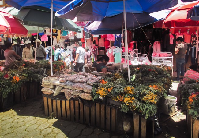 tehuacan-camino-al-parque