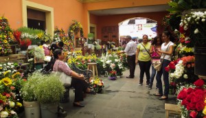 tehuacan-camino-al-parque