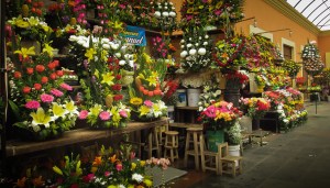 tehuacan-camino-al-parque