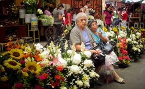 tehuacan-camino-al-parque