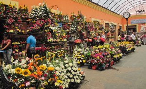 tehuacan-camino-al-parque_