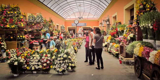 tehuacan-camino-al-parque_19