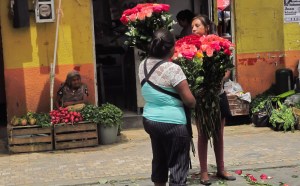 tehuacan-camino-al-parque