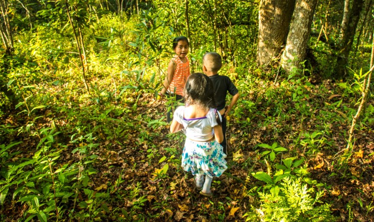 recolectando-limas_5