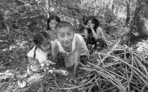 ninos-en-el-bosque_11