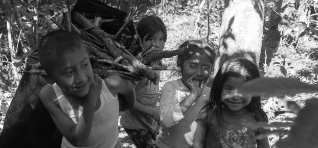 ninos-en-el-bosque_11