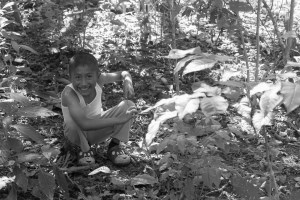 ninos-en-el-bosque_11