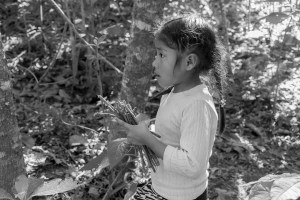 ninos-en-el-bosque_11