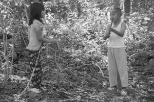 ninos-en-el-bosque_11