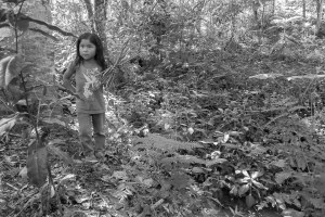 ninos-en-el-bosque_11