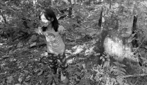 ninos-en-el-bosque_11