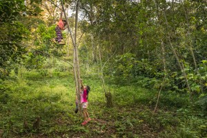 ninos-trepando-un-arbol_3