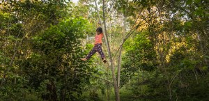 ninos-trepando-un-arbol_3