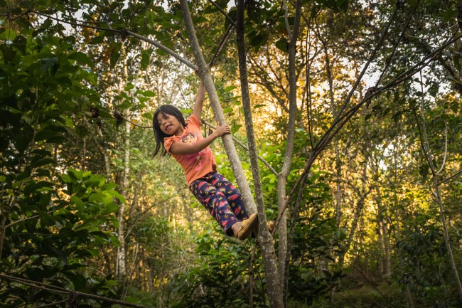 ninos-trepando-un-arbol_3