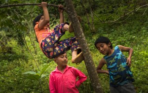 ninos-trepando-un-arbol_3
