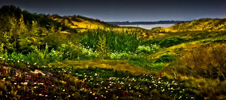 DUNAS EN PLAYA DE URUG