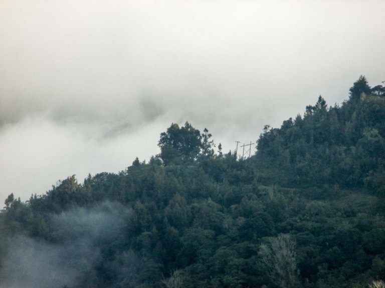 MONTAÑA CON NIEBLA