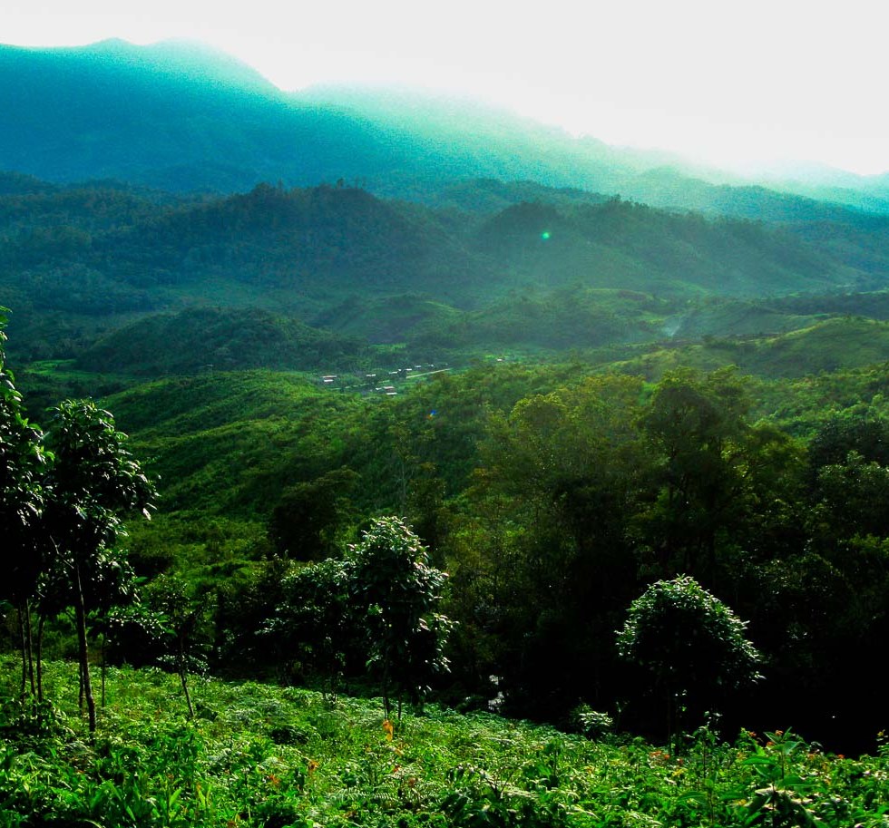 PAISAJE MONTAÑA CHIAPAS