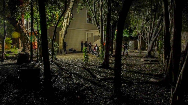 FILMACIÓN NOCHE JARDÍN ESQUINERA_6