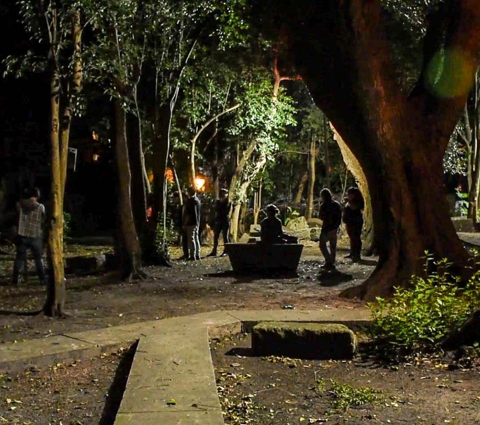 FILMACIÓN NOCHE JARDÍN ESQUINERA_6