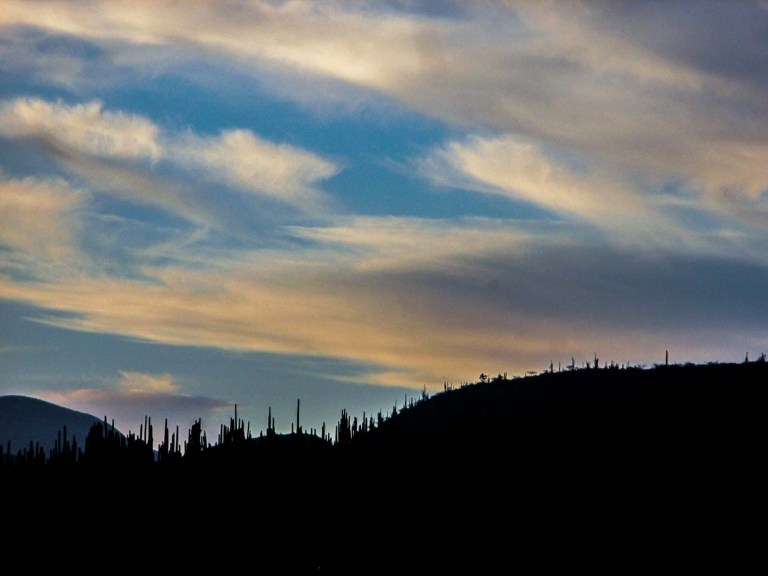 N BOTANICO ZAPOTITLÁN_9