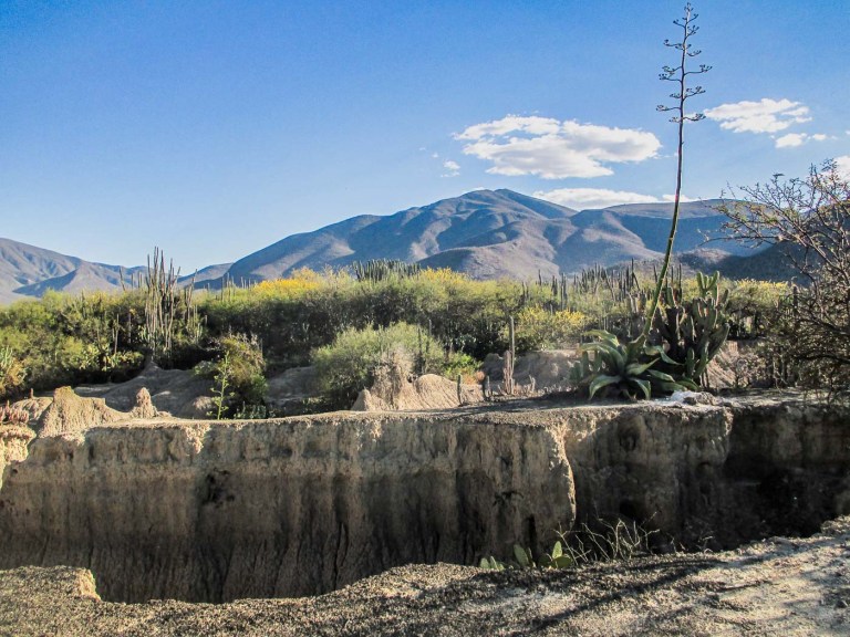 LA LEY DE HERODES RESTOS PUEBLO_3