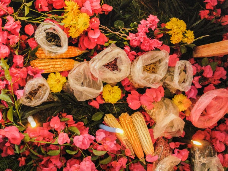 ofrenda fiesta siembra