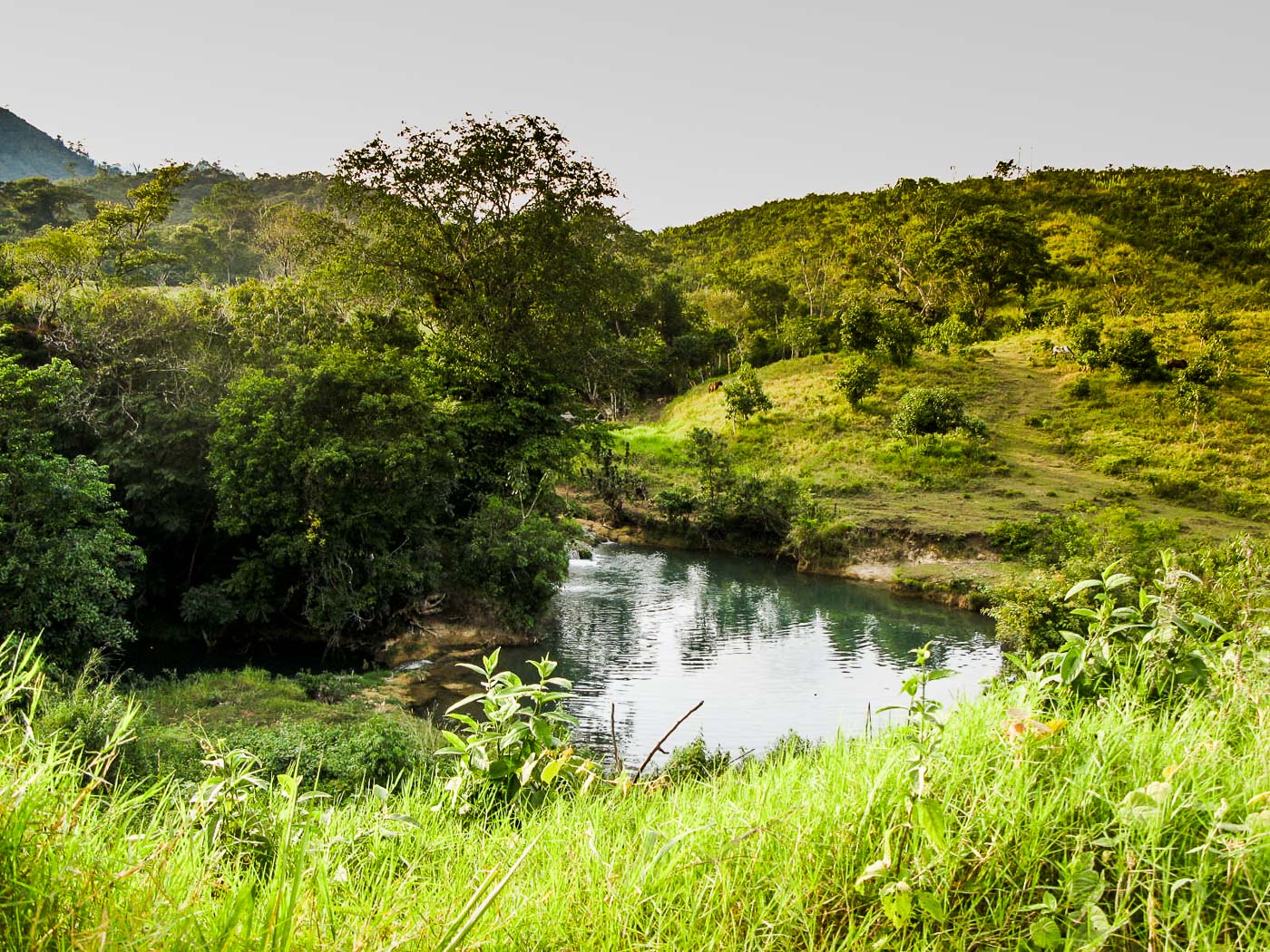 paisaje con riachuelo
