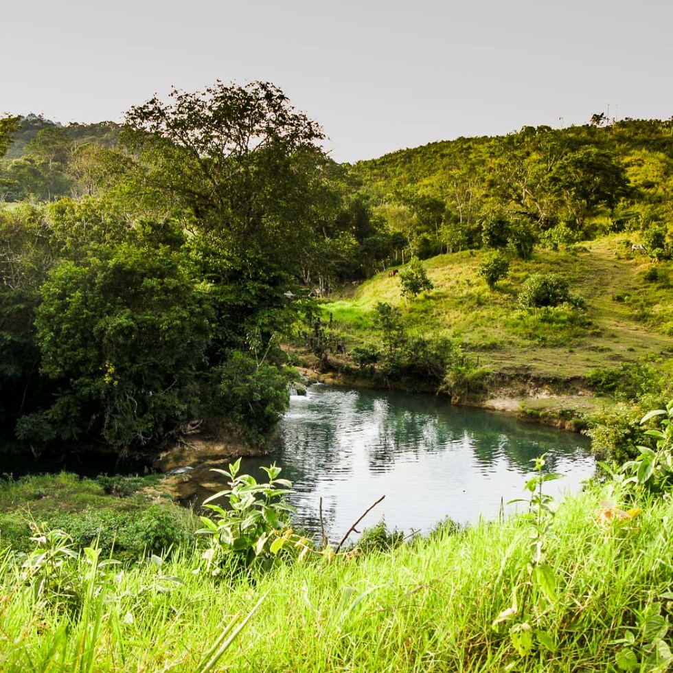paisaje con riachuelo