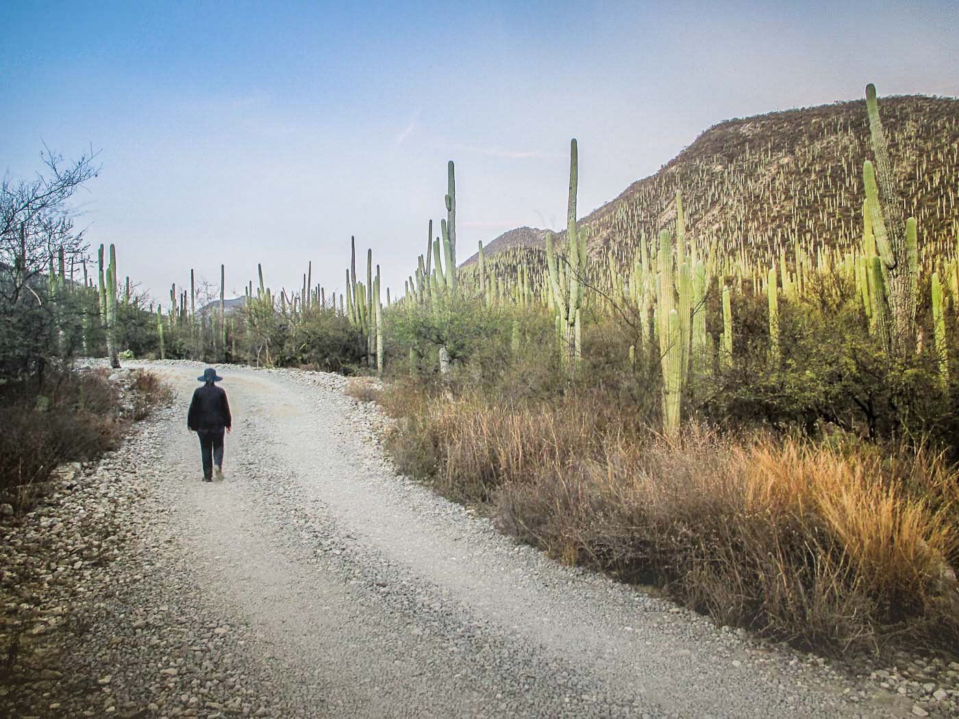 PUESTA DE SOL JARDIN BOTANICO ZAPOTITLAN